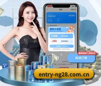 m.entry-ng28.com.cn APP